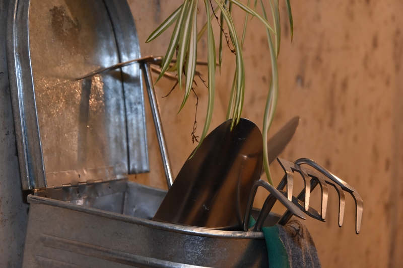 Kitchen Yard on Saturday Night